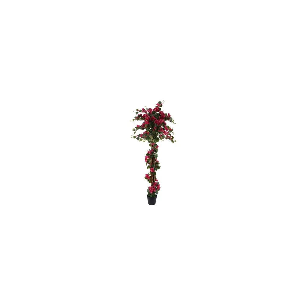Műnövények Signes Grimalt Bougainvillea Növény