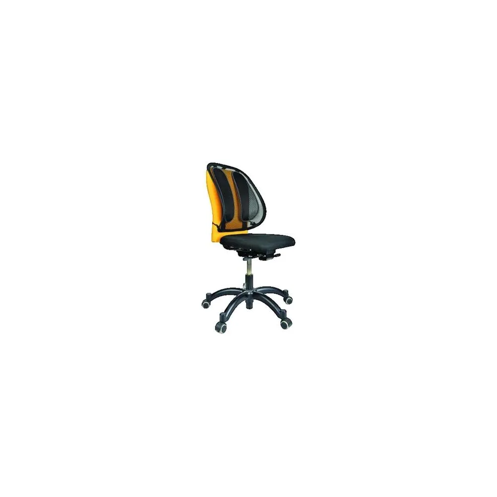 Íróasztalok Fellowes Support Dorsal Ergonomique en Maille Respirante