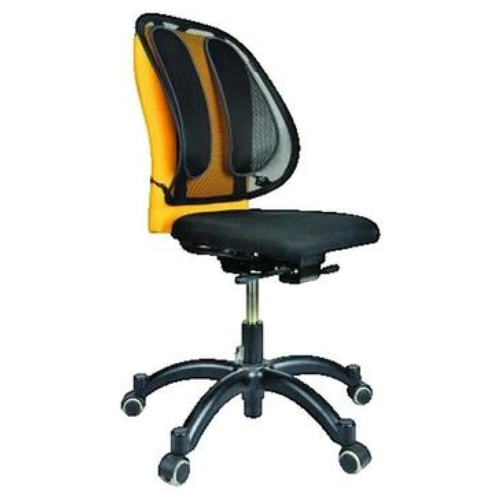 Íróasztalok Fellowes Support Dorsal Ergonomique en Maille Respirante
