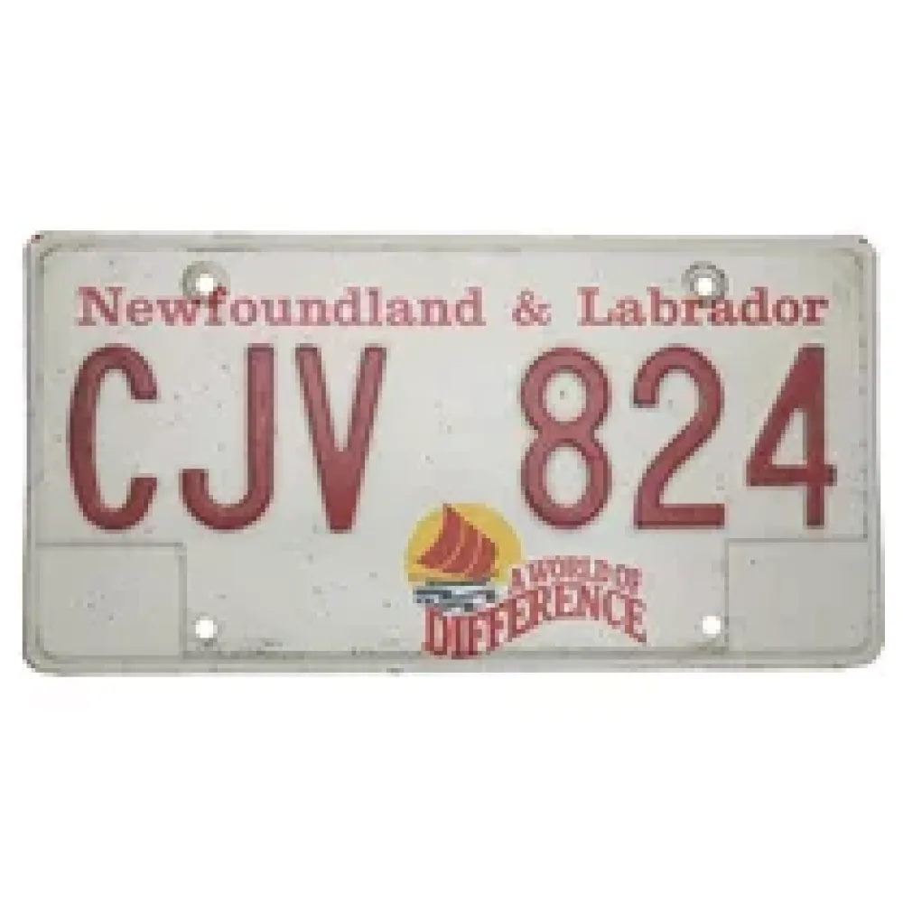 Kanadisches Nummernschild Newfoundland & Labrador – Bild 2