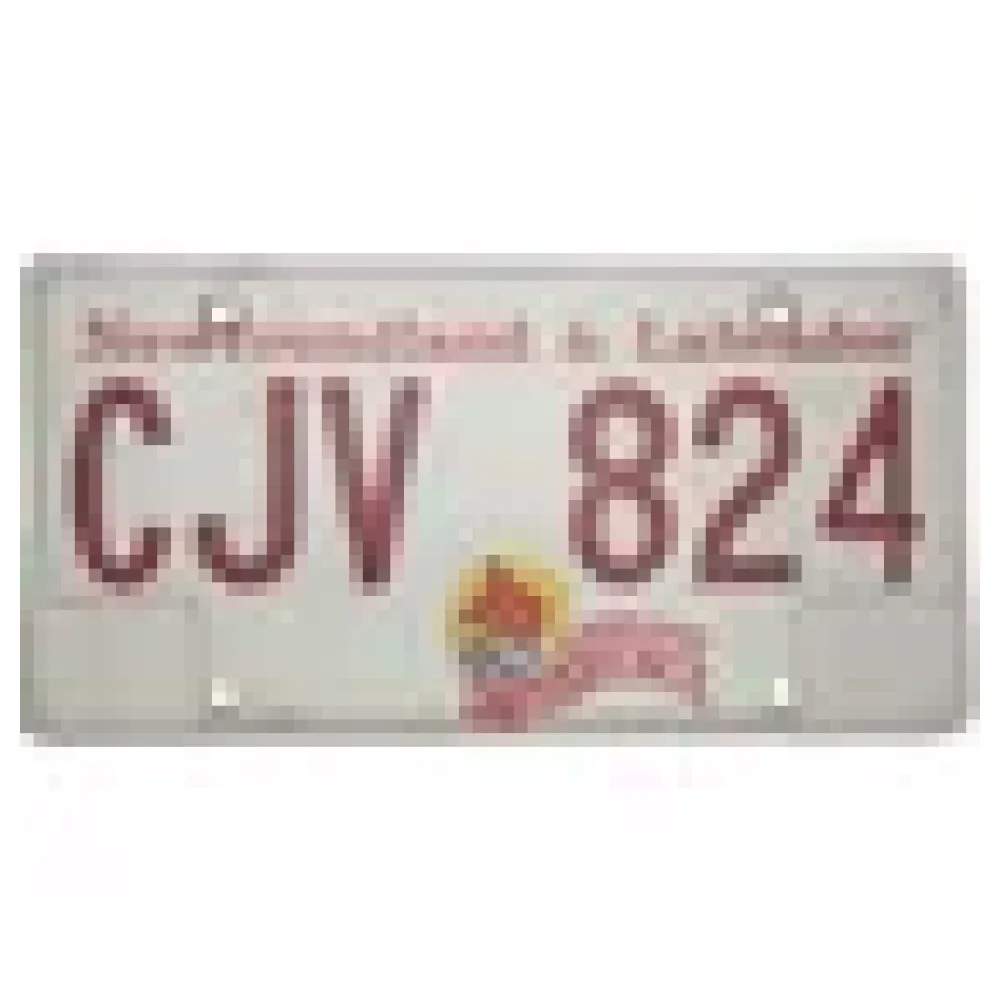 Kanadisches Nummernschild Newfoundland & Labrador – Bild 3