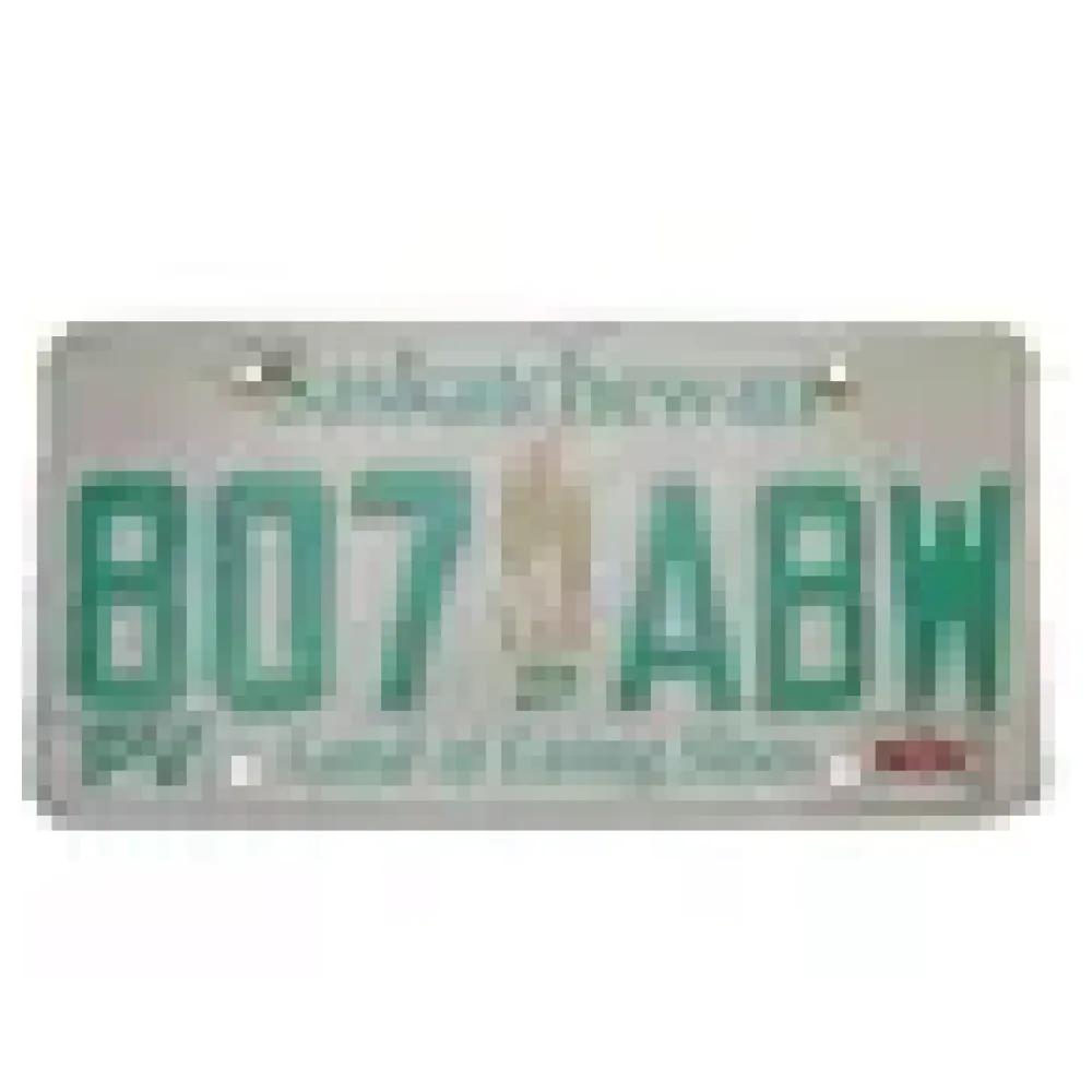 Kanadisches Nummernschild Saskatchewan – Bild 3