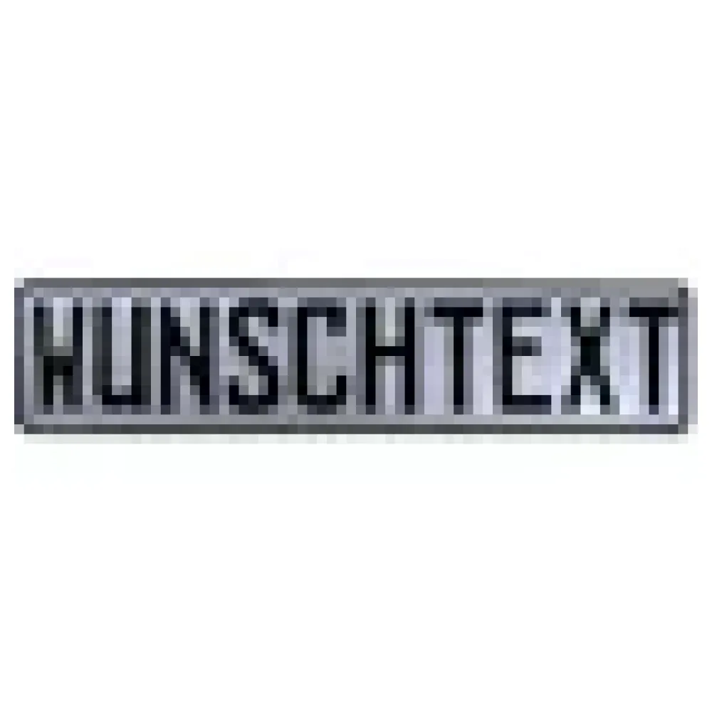 Prägung - Deutsches Kfz Wunschkennzeichen metallic silber – Bild 3