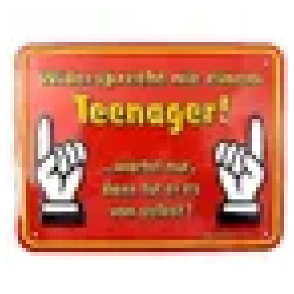 Funschild -Widersprecht nie einem Teenager- – Bild 3