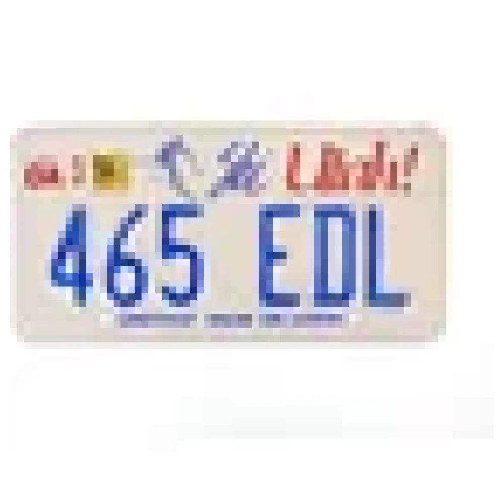 US Nummernschild Utah - Ski Greatest Snow on Earth - original – Bild 3