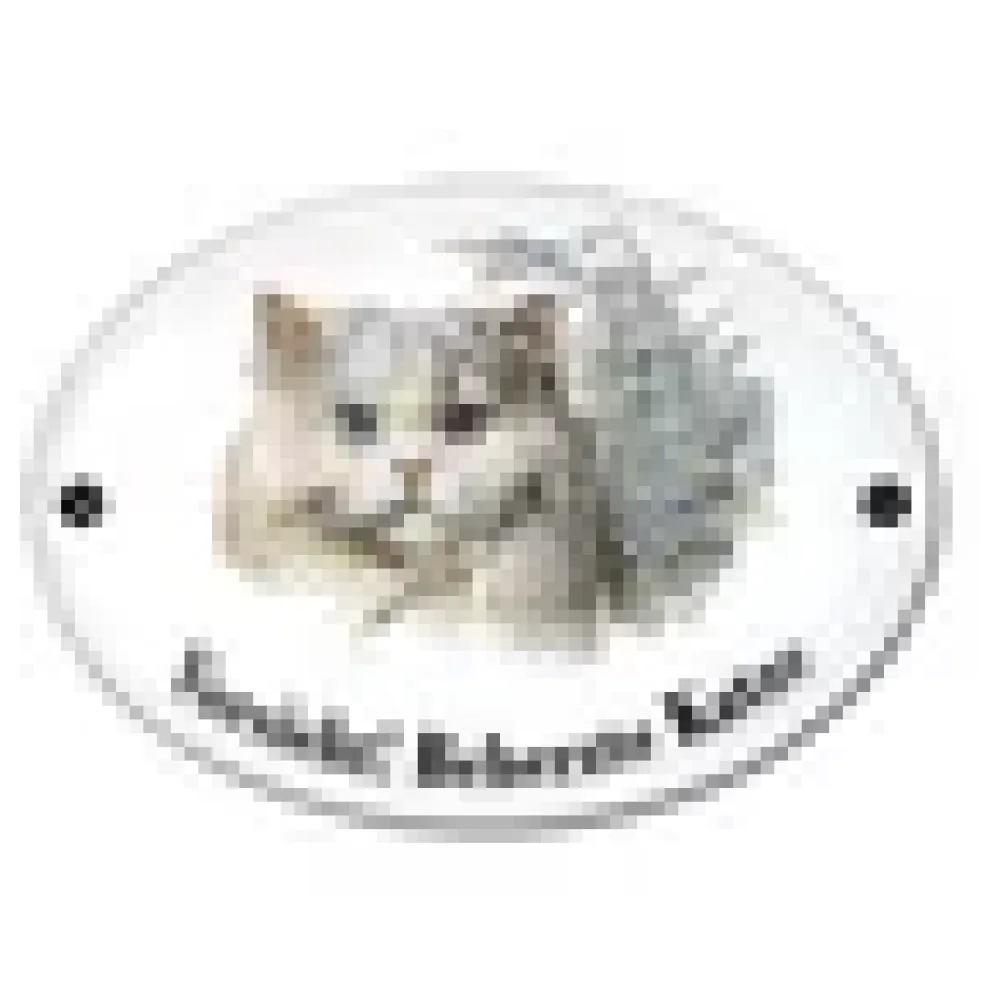 Emaille Türschild mit Rassekatzen zur Auswahl 18,3 x 14,3 cm – Bild 3