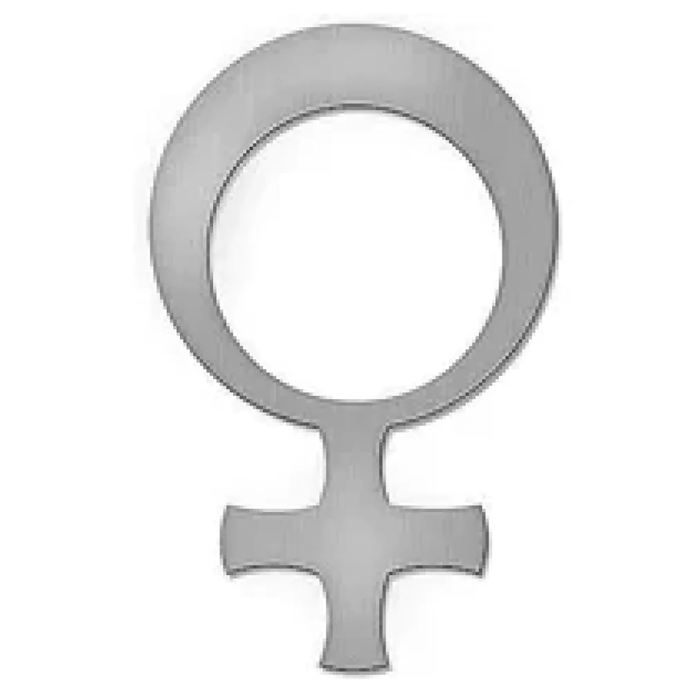 Edelstahl-WC-Schild Damen - Höhe: 18 cm – Bild 2