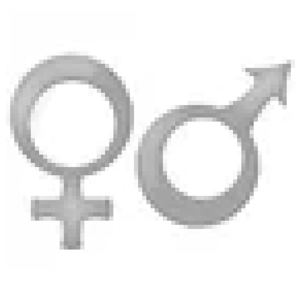 Edelstahl WC Schild 2er Set Damen und Herren - Höhe je Symbol: 18 cm – Bild 3