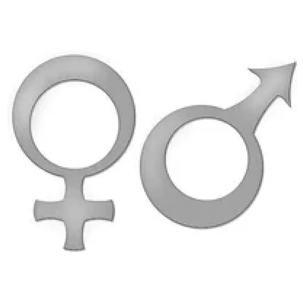 Edelstahl WC Schild 2er Set Damen und Herren - Höhe je Symbol: 18 cm – Bild 2