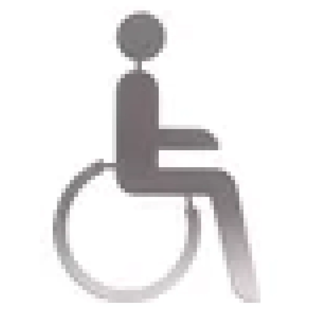 Edelstahl WC-Schild für Behinderten WC – Bild 3