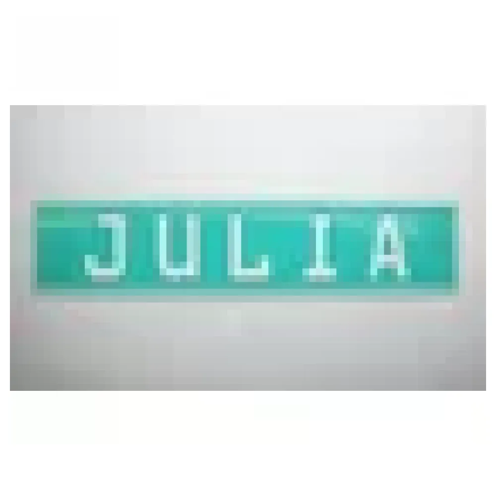 Individuelles Kennzeichen mit Wunschname und Symbol mint – Bild 3