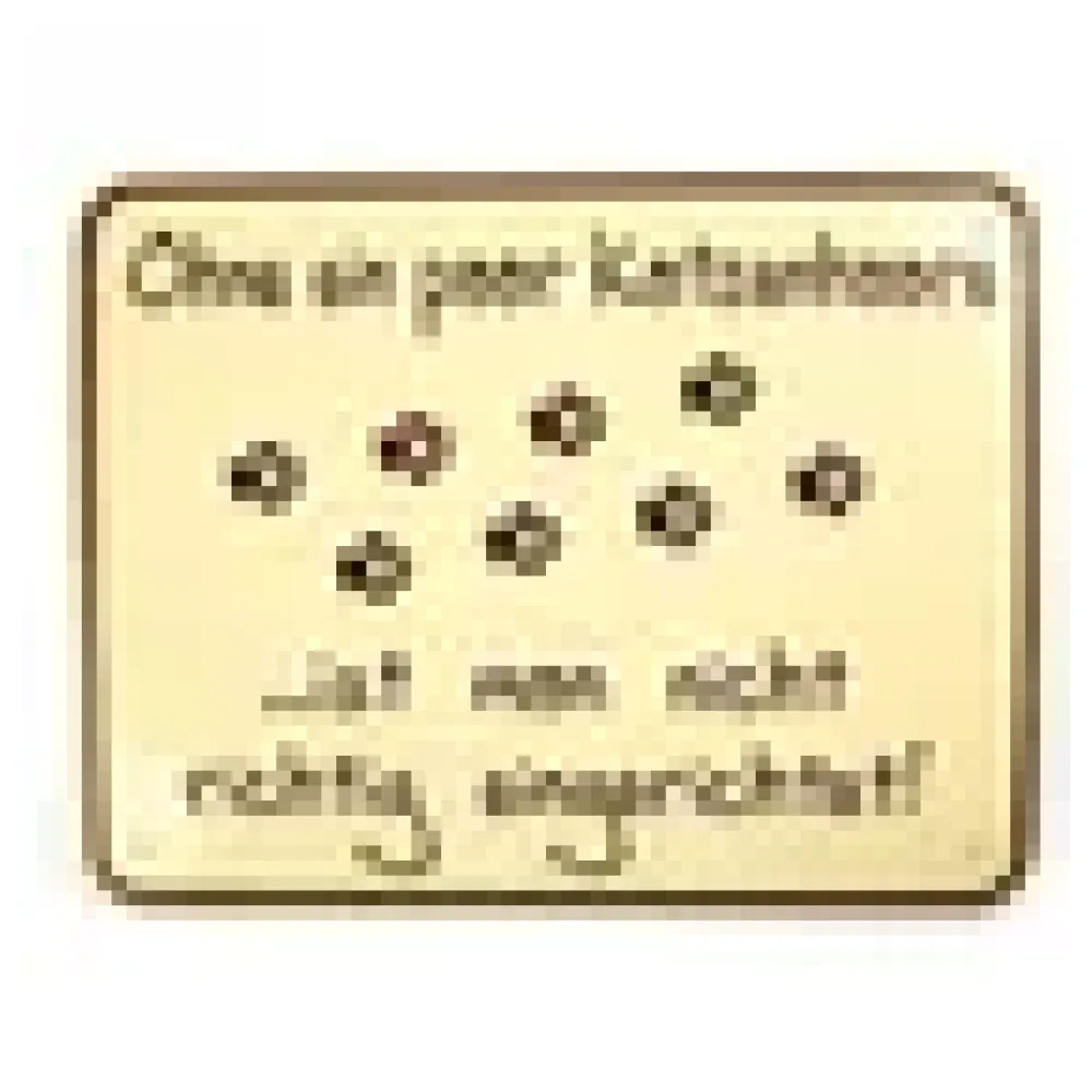Funschild - Katze – Bild 3