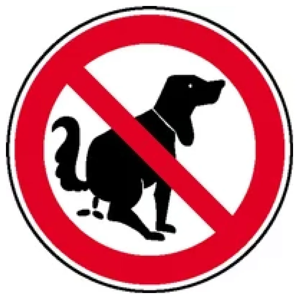 Verbotsschild »Hier kein Hundeklo« – Bild 2