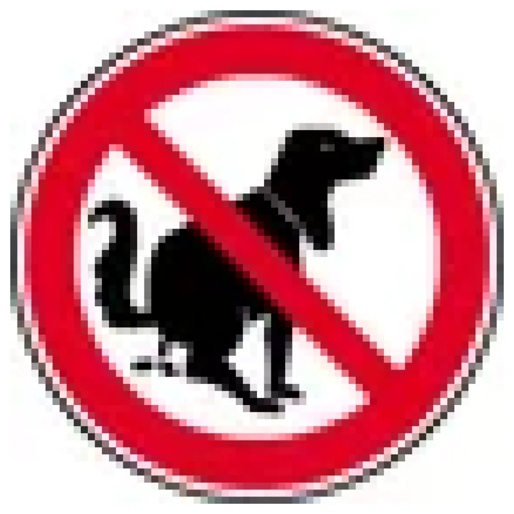 Verbotsschild »Hier kein Hundeklo« – Bild 3