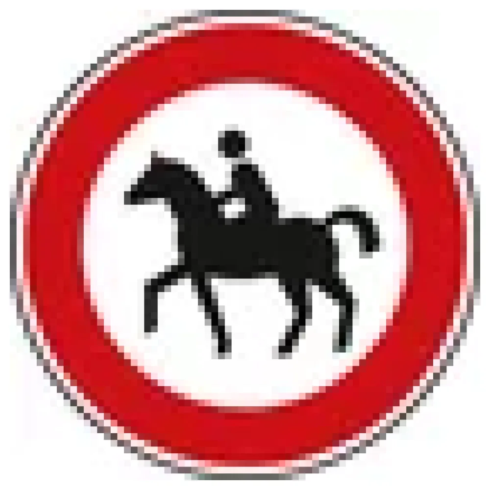 Verkehrszeichen StVO - Verbot für Reiter – Bild 3