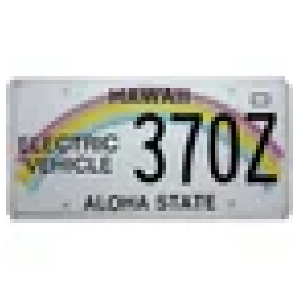 US Nummernschild Hawaii mit Regenbogen - Electric Vehicle – Bild 3