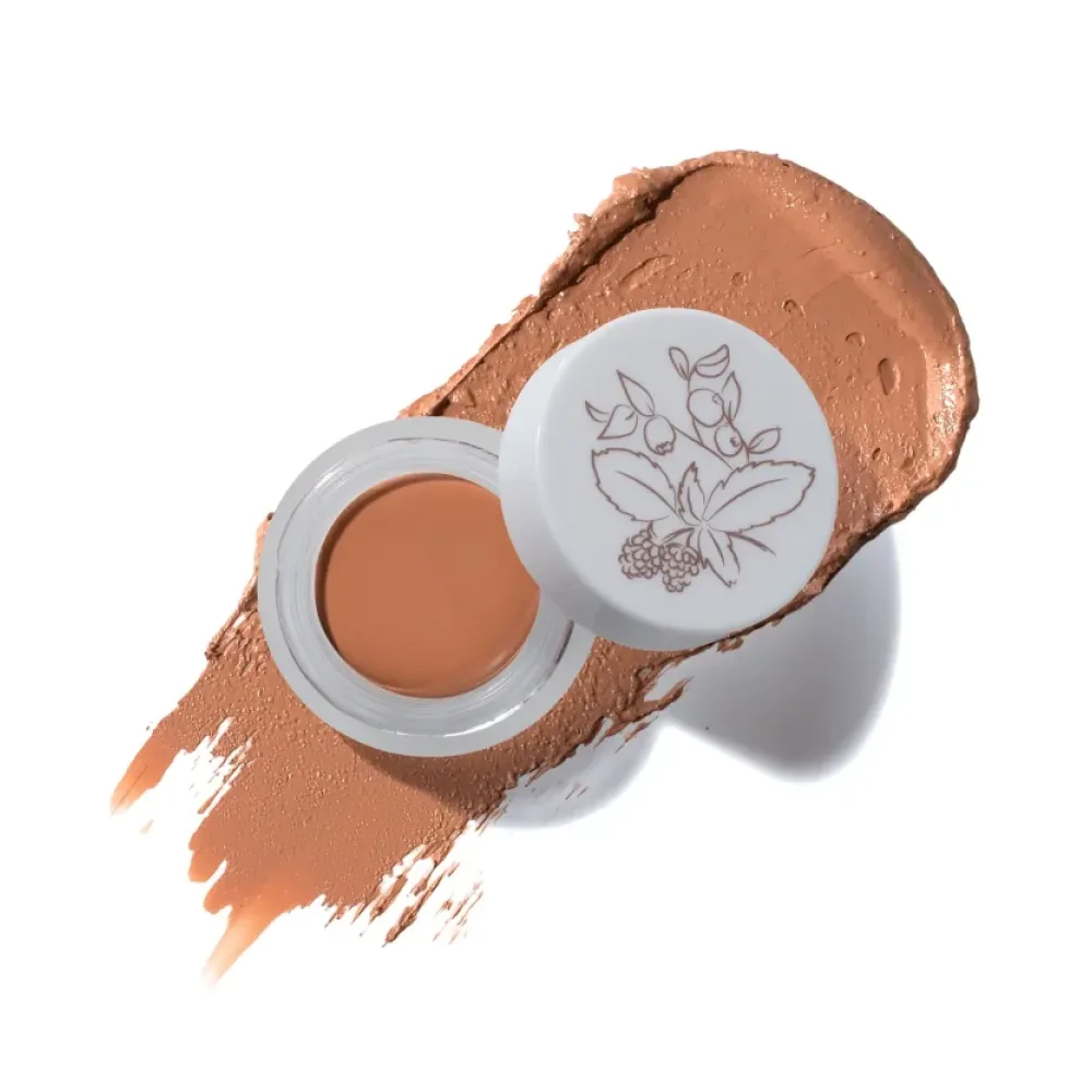 Fruit Pigments Long Last Concealer + Super Fruits - Toffee