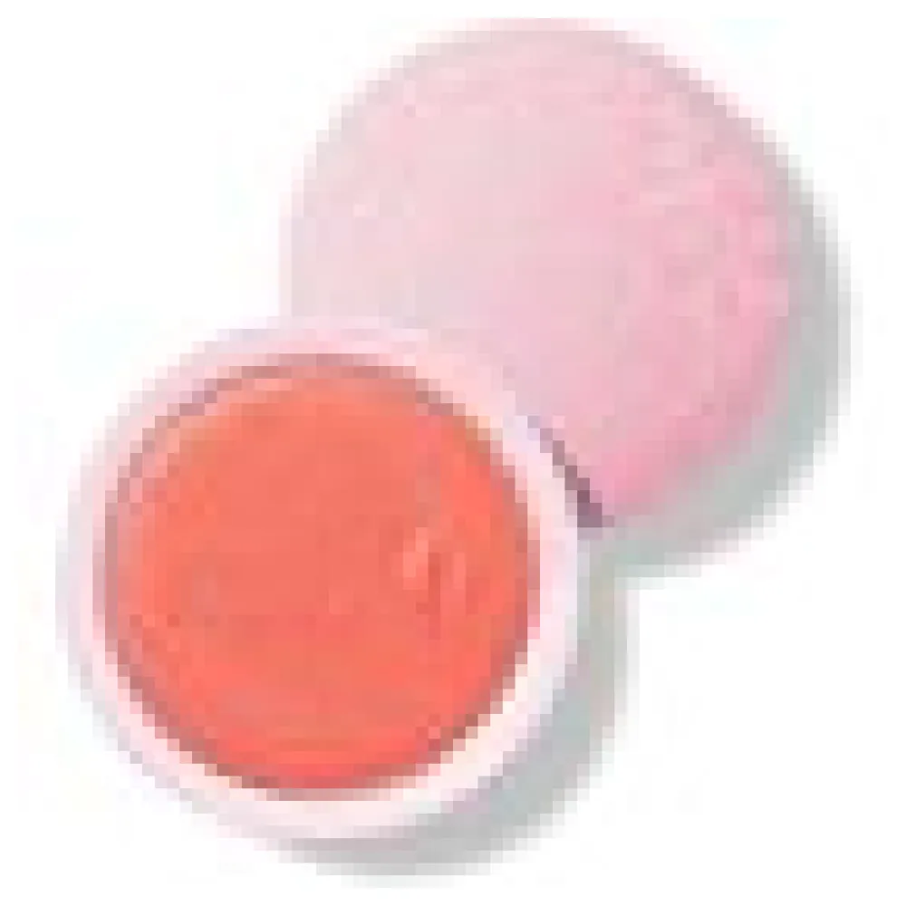 Fruit Pigments Blush Mimosa - Rouge – Bild 3
