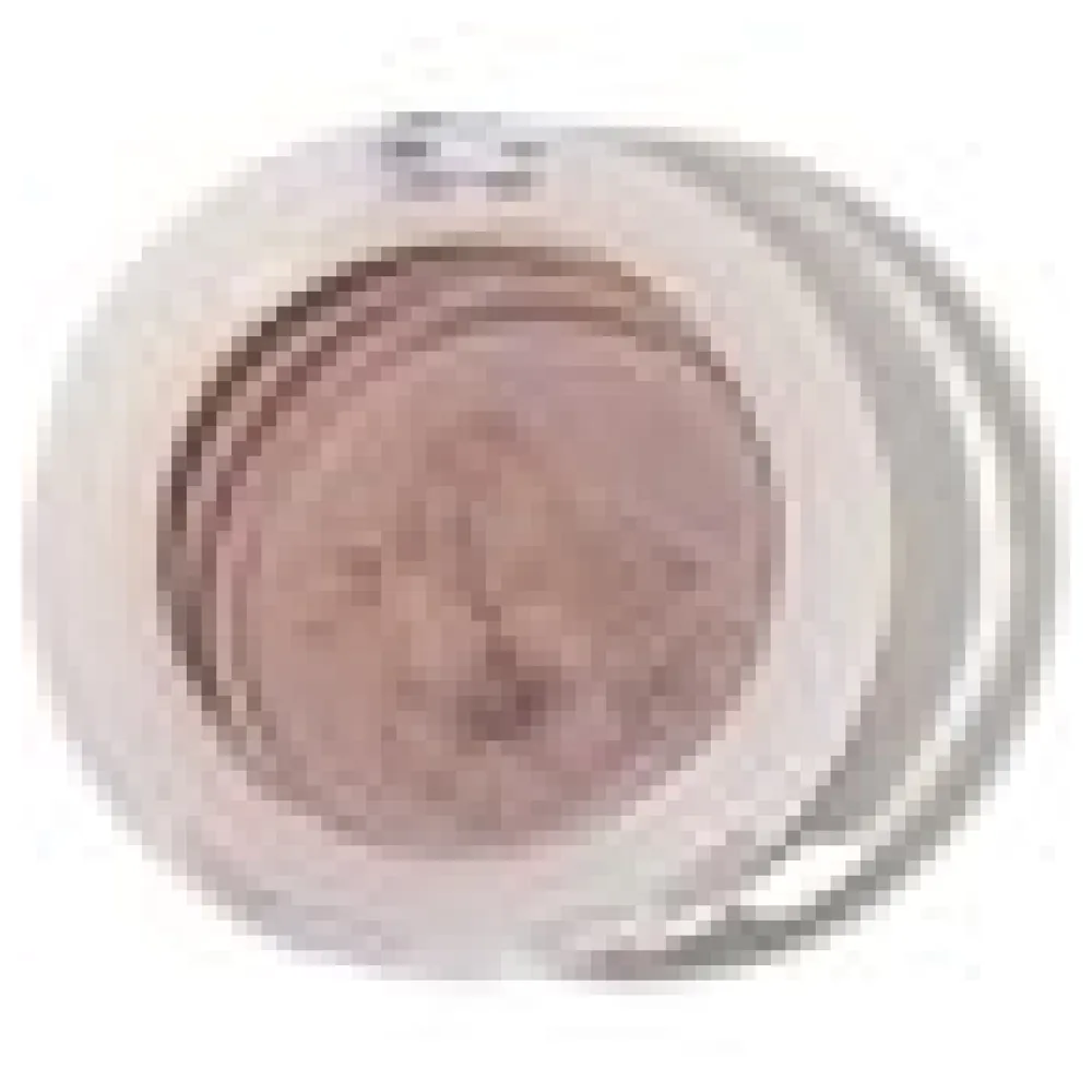 Fruit Pigments Eye Shadow Mink - Lidschatten – Bild 3