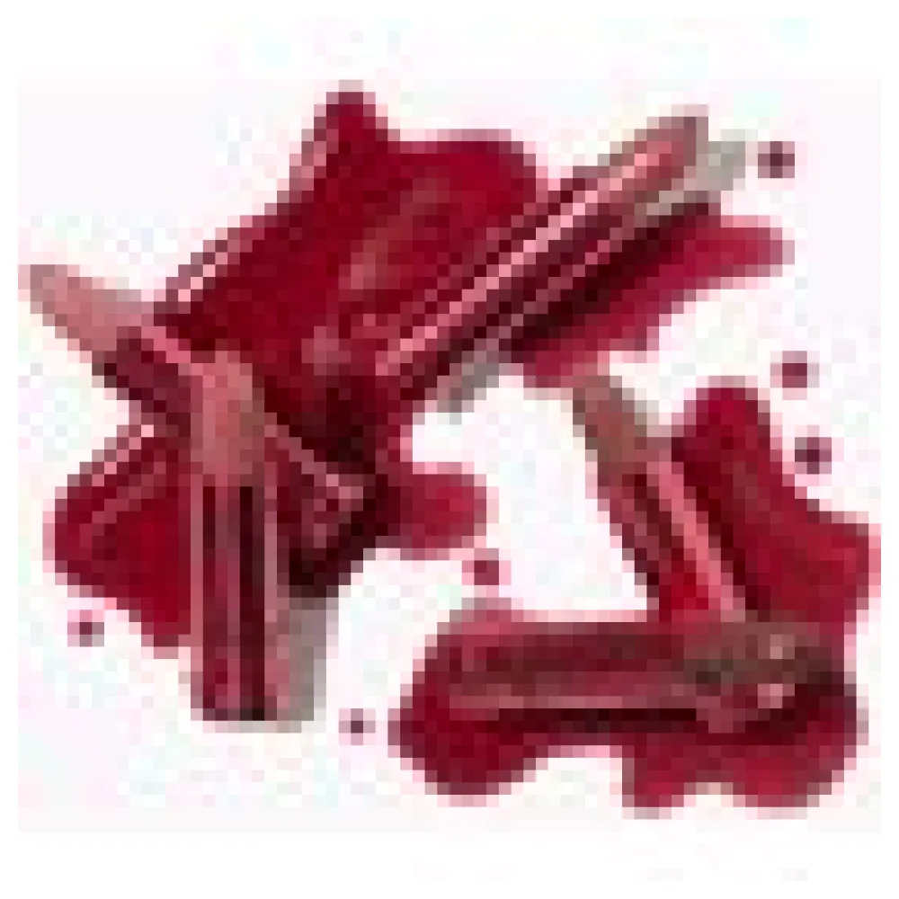 Pomegranate Oil Moisture Lipstick + Fruit Pigments – Bild 3