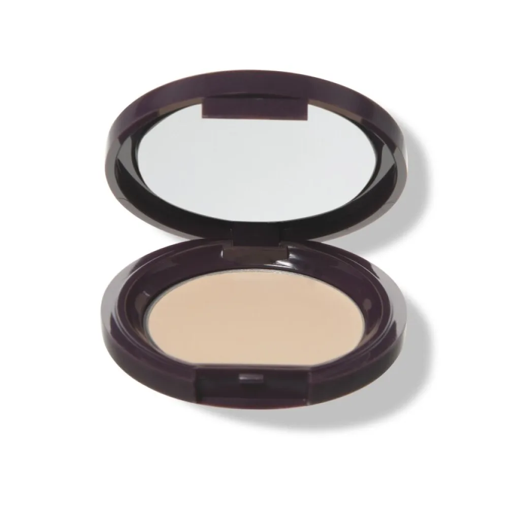Fruit Pigmented® Long Last Concealer with Super Fruits