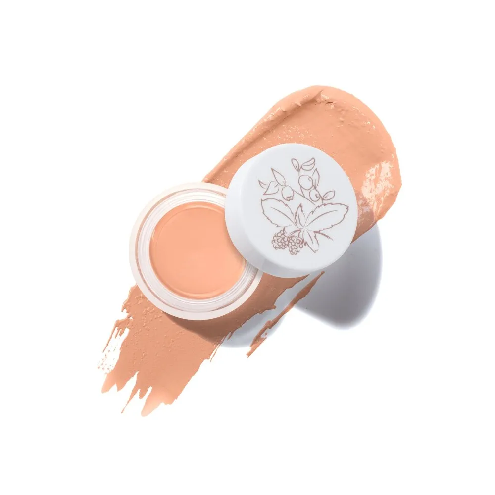 Fruit Pigments Long Last Concealer + Super Fruits - Golden Peach