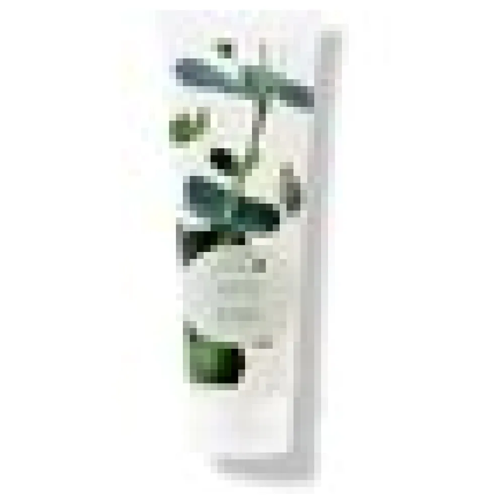 Eucalyptus Shower Gel 236 ml - Duschgel – Bild 3
