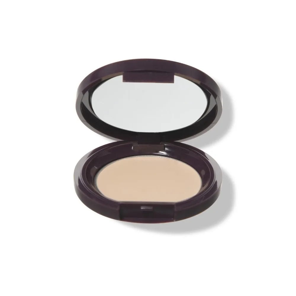 Fruit Pigments Long Last Concealer + Super Fruits - Alpine Rose