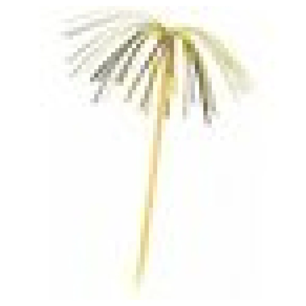 Palmwedel-Picker 225 mm, 6 Stk. – Bild 4