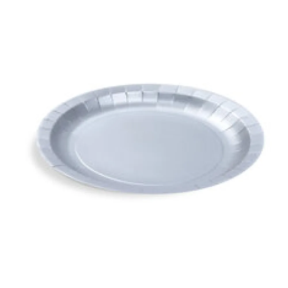 Pappteller Silber O23 cm - FSC Einwegteller für Party, Geburtstag, Hochzeit, 10 Stk.