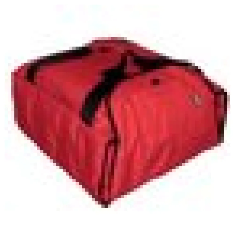Thermo-Transporttasche Pizzatasche Isoliertasche "Typ 6", 41 x 46 x 18 cm – Bild 4