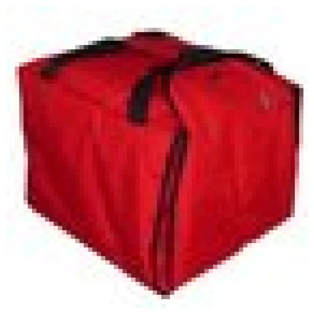 Thermo-Transporttasche Pizzatasche Isoliertasche "Typ 10", 41 x 46 x 36 cm – Bild 4
