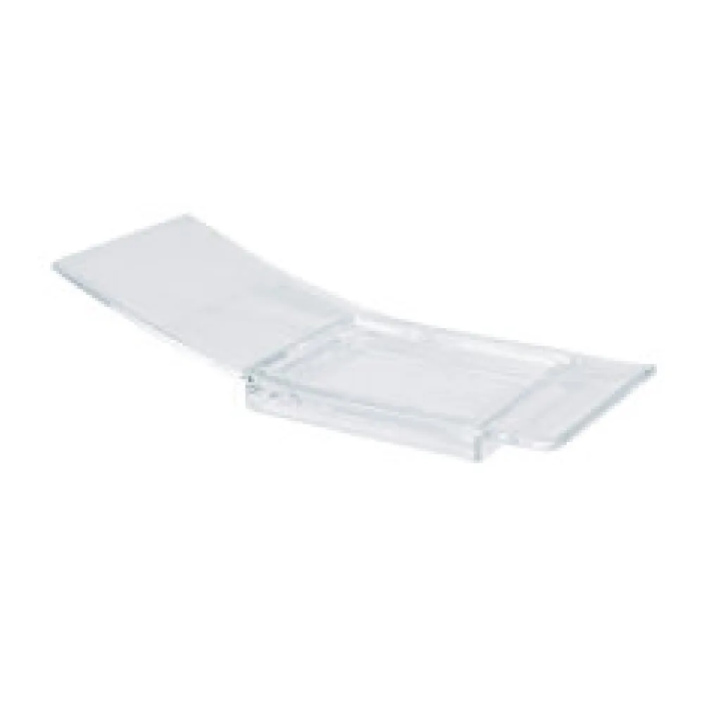 Fingerfood gebogener Teller 40 x 100 x 21 mm, PS transparent 24 Stk.
