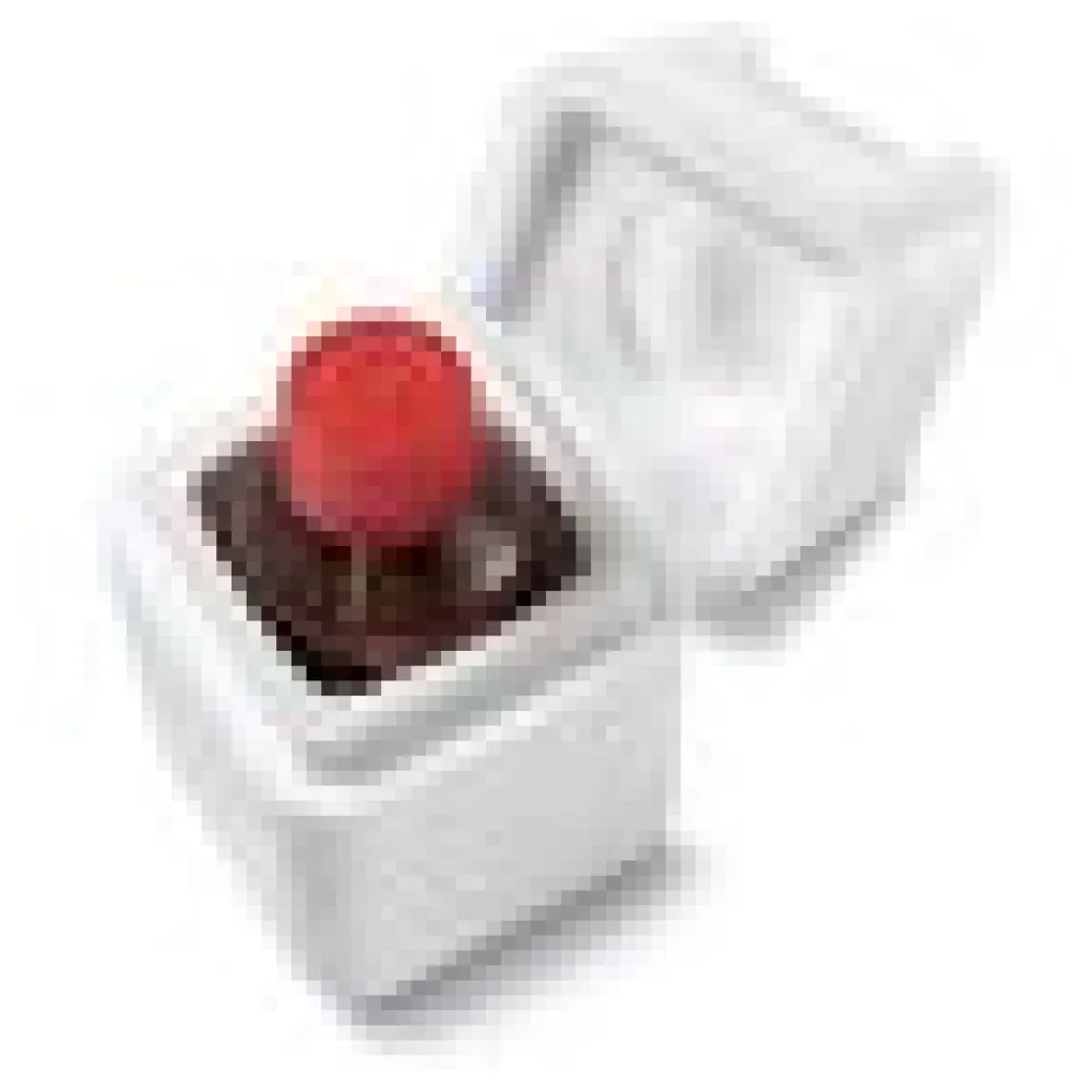 Sicherheitsboxen inkl. Deckel 100ml 155 x 80 x 80 mm – Bild 4