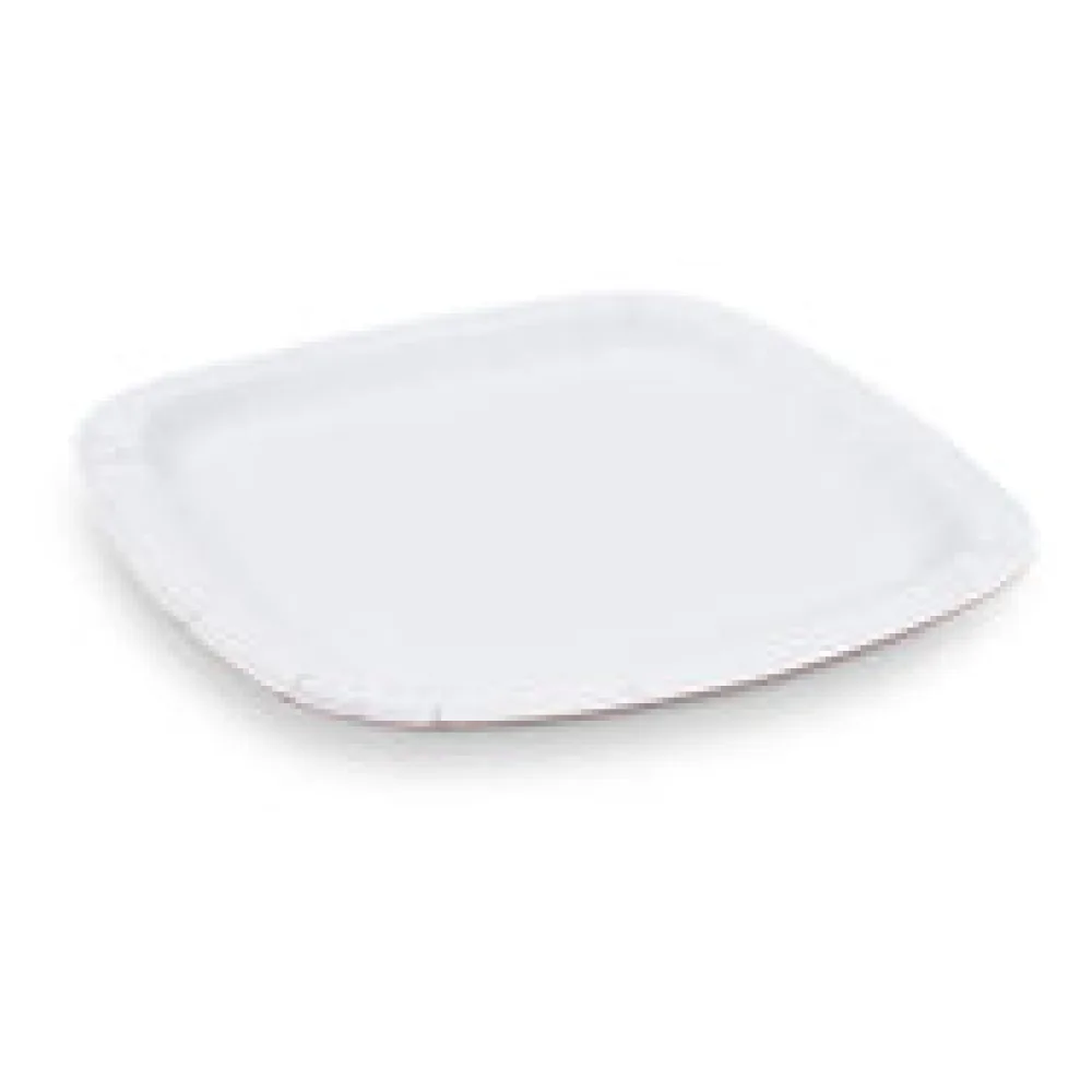 BIONATURE Pappteller aus Frischfaser quadratisch 24 x 24 cm fettdicht, 100 Stk.