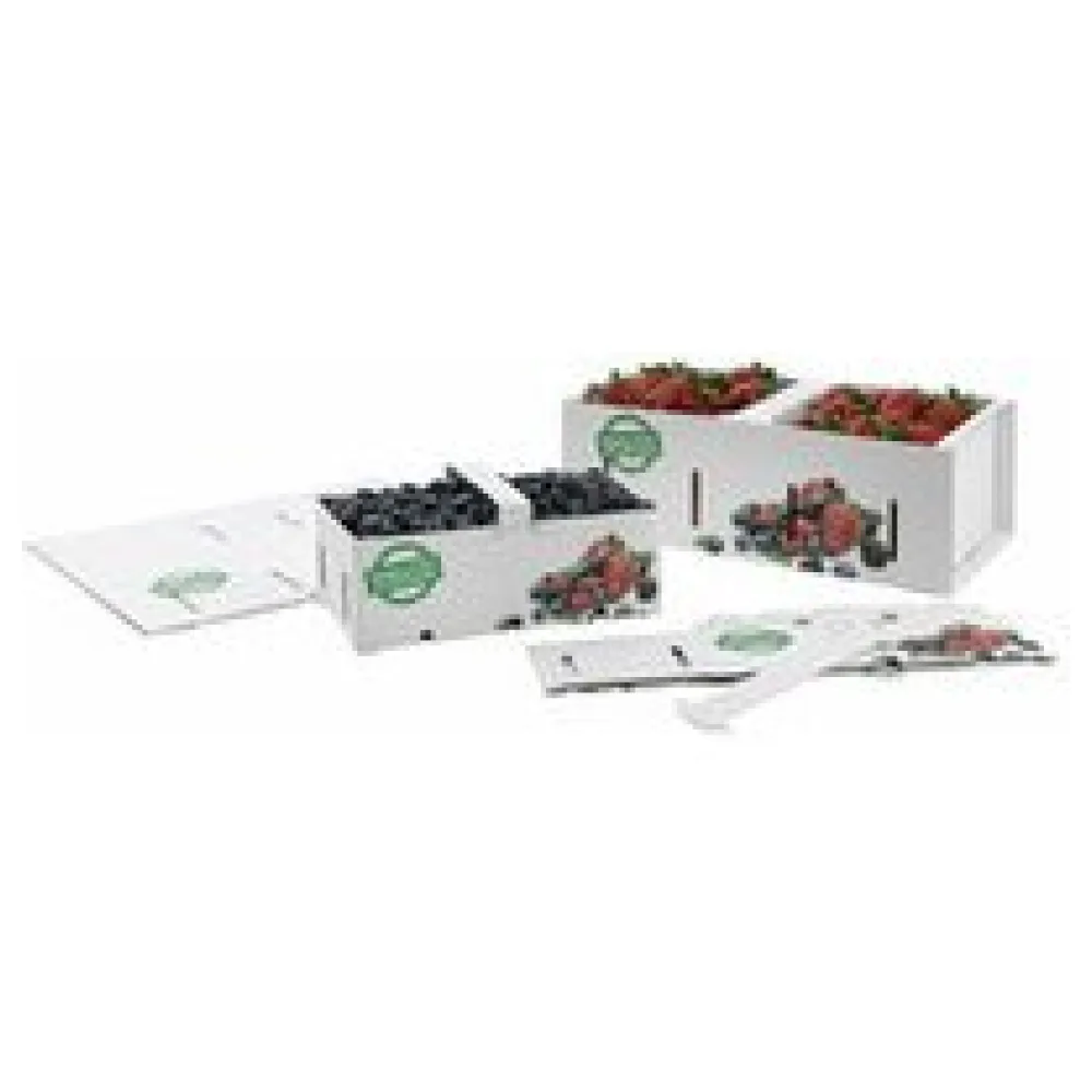 Obstkörbe Beerenkörbe aus Pappe 350x159x118mm mit Neutraldruck für 2,0-2,5 KG – Bild 3
