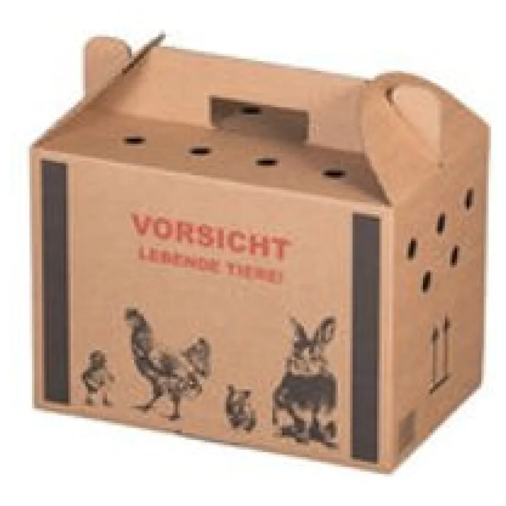 Transportkarton für Kleintiere 320x200x230mm mit Tragegriff, Luftlöchern und Automatikboden - Größe S – Bild 3