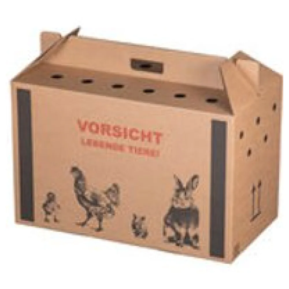 Transportkarton für Kleintiere 580x310x370mm mit Tragegriff, Luftlöchern und Automatikboden - Größe L – Bild 3