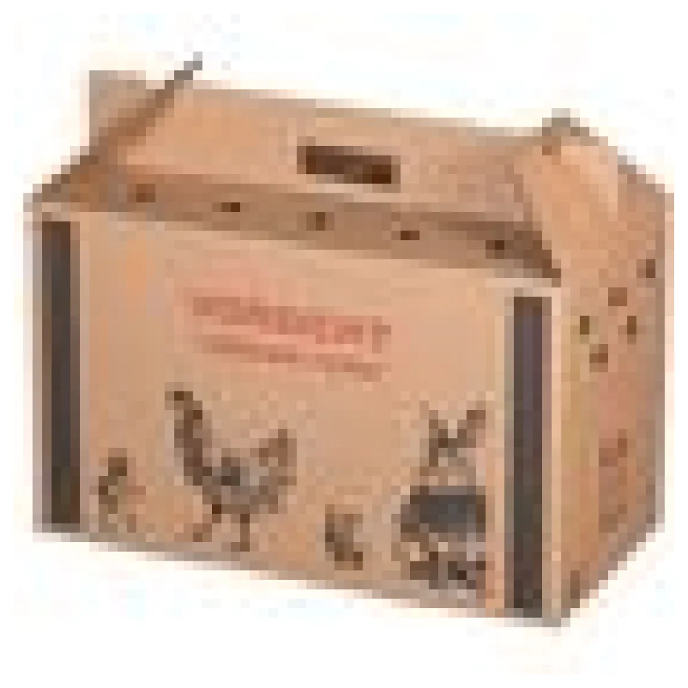 Transportkarton für Kleintiere 480x230x300mm mit Tragegriff, Luftlöchern und Automatikboden - Größe M – Bild 4