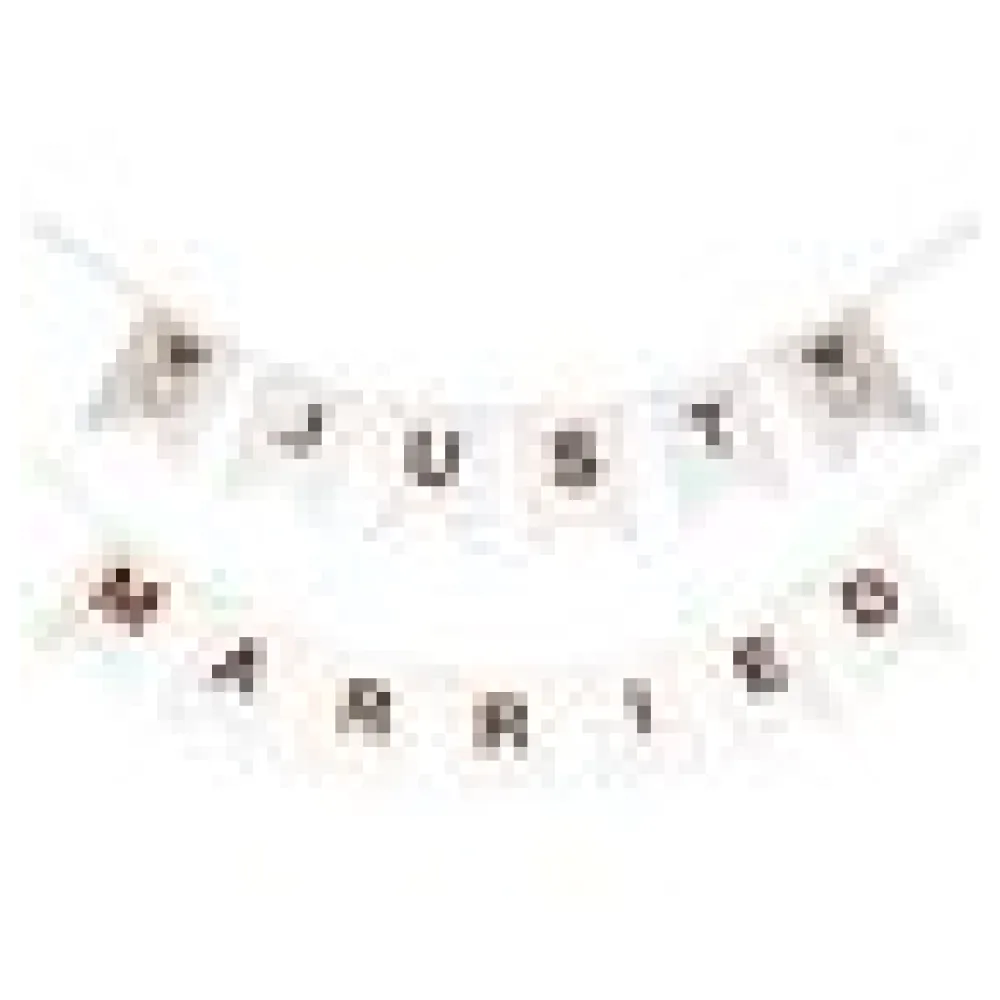Wimpelkette Banner Hochzeit 'Just married' ca. 1,2m – Bild 4