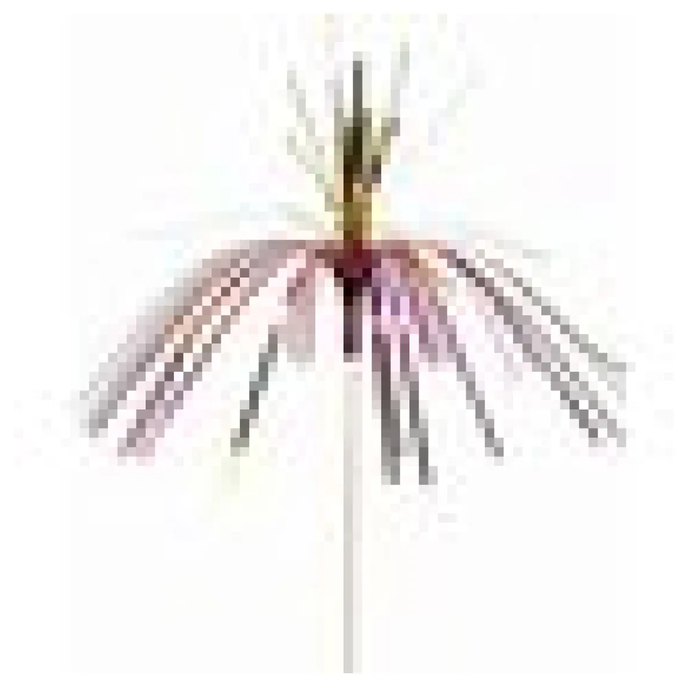 Glitzerpalmen 2-färbig, 24cm, 144 Stk. – Bild 4