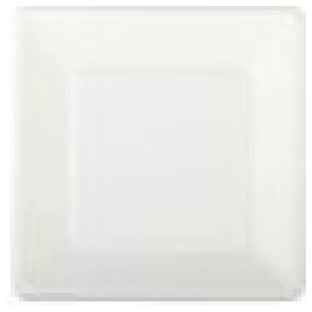Teller aus Bagasse, naturweiß, quadratisch 16.5cm, 50Stk. – Bild 4