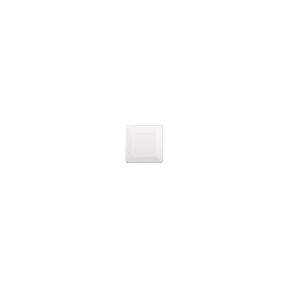 Teller aus Bagasse, naturweiß, quadratisch 16.5cm, 50Stk.