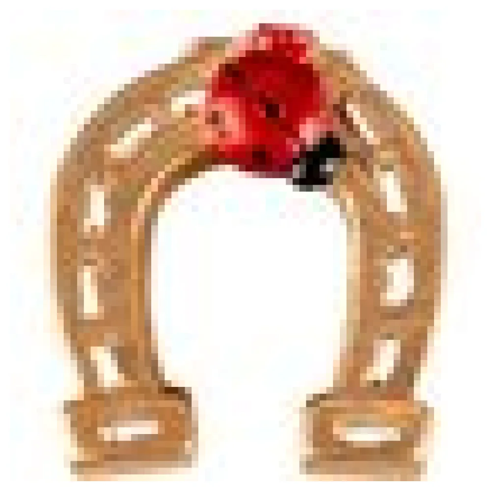 Glücksbringer "Hufeisen" ca. 3 cm, 30 Stk. – Bild 4