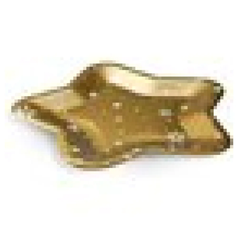 Pappteller Sternform Gold O25 cm - FSC Einwegteller für Weihnachten, 6 Stk. – Bild 4