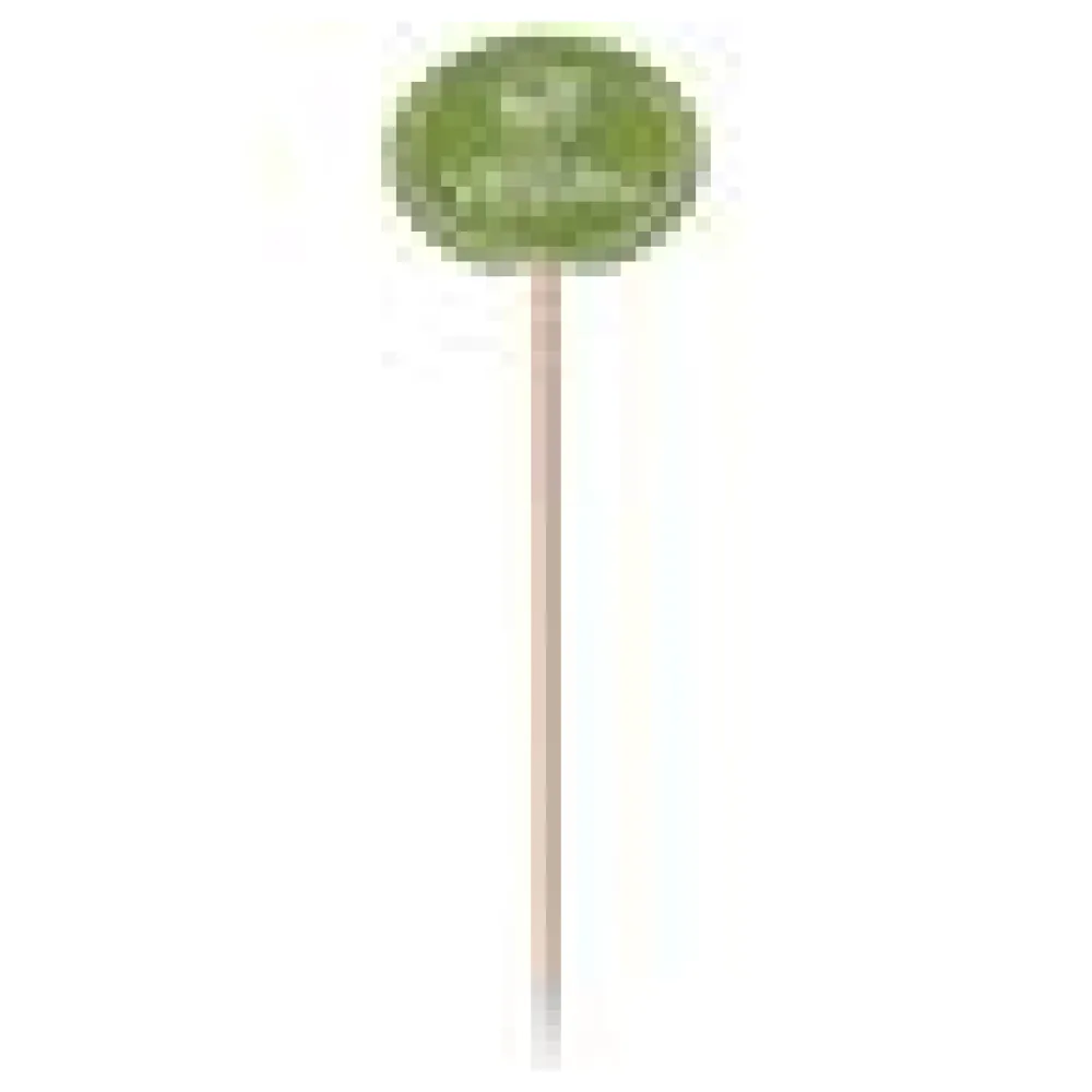 Kennzeichnungspicker Deko-Picker "Vegan" 12 cm grün, 100 Stk. – Bild 4