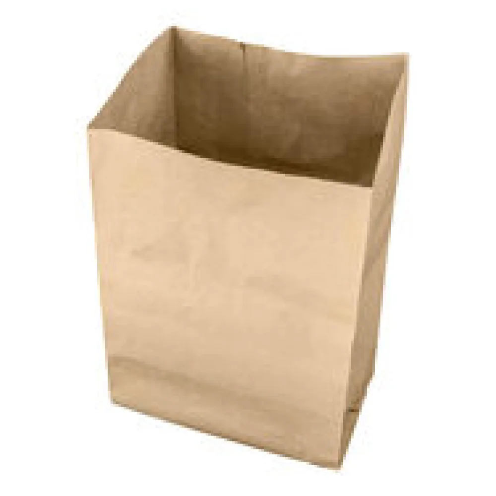 BIO-Papierbeutel Einkaufsbeutel Obst/Gemüse 10l, 200+170x360mm kompostierbar braun, 10 Stk.