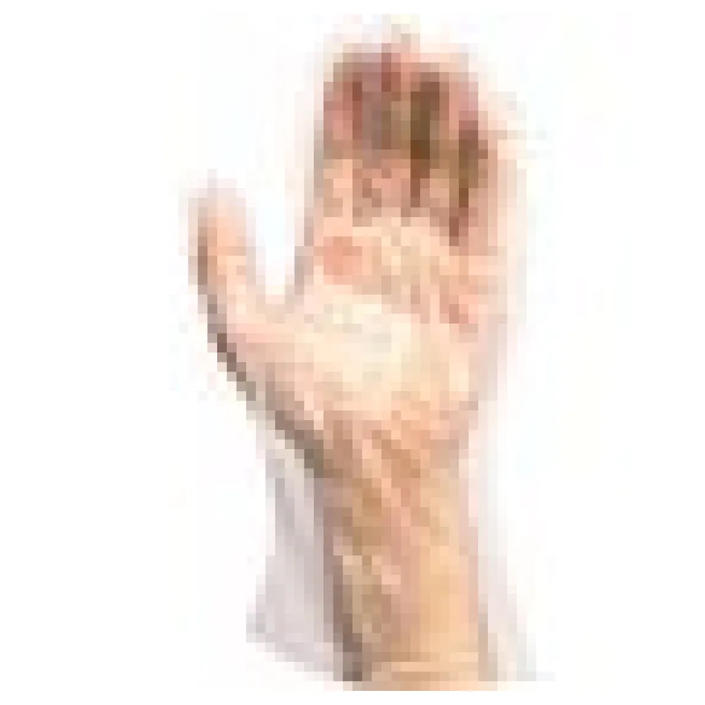 PE-Einweghandschuhe für Herren, transparent, 100 Stk. – Bild 4