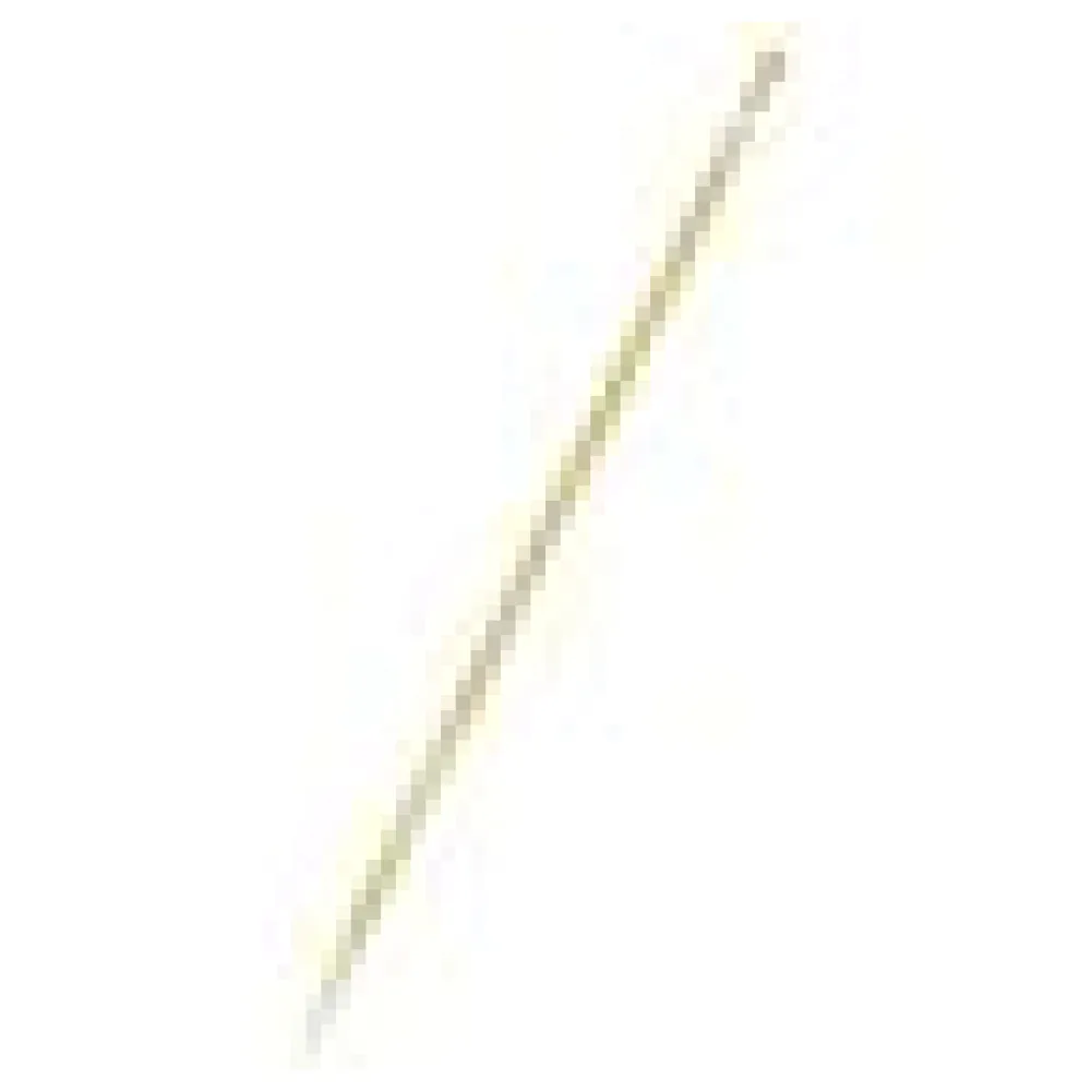 Holz-Spieße 150 mm für BBQ, Grillen, Häppchen, Fingerfood, Rohkost, 1000 Stk. – Bild 4