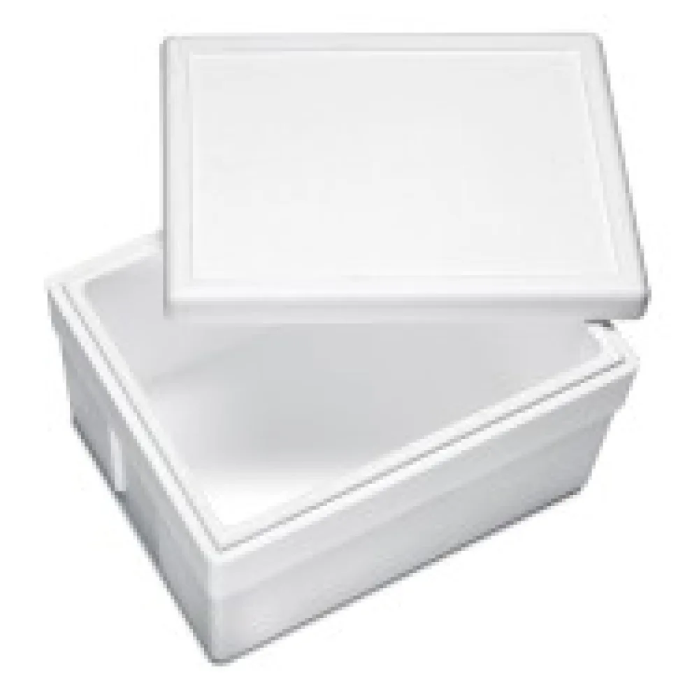 Isolierboxen mit Deckel aus Styropor EPS, 540 x 420 x 320 mm, 45 Liter